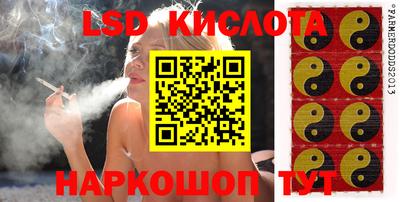 ECSTASY Бийск