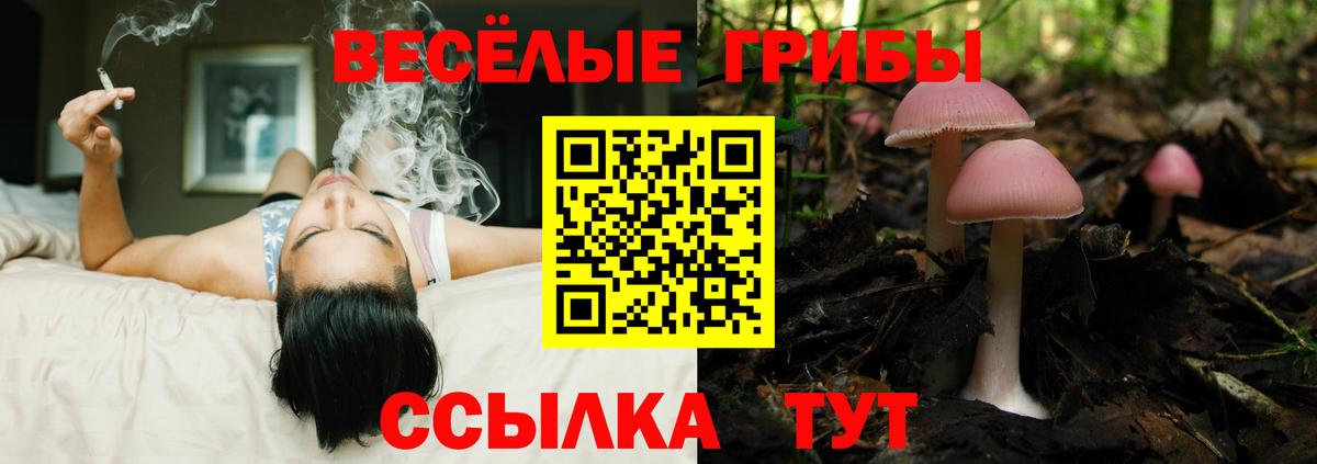 Галлюциногенные грибы GOLDEN TEACHER  Вход с VPN  купить закладку  Каменск-Уральский 